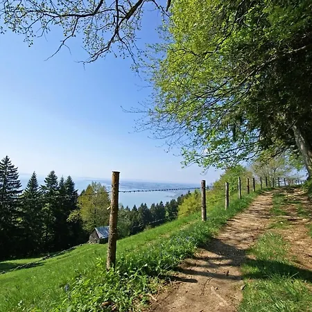 Nr 6, Meersburg, Bodensee